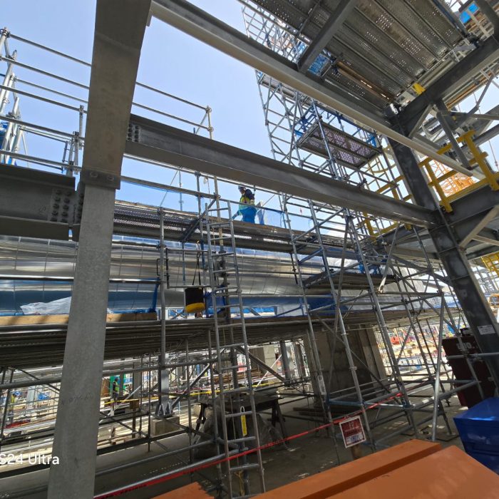 scaffold2